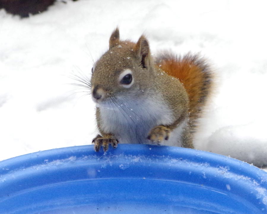 Vivian at the blue bowl