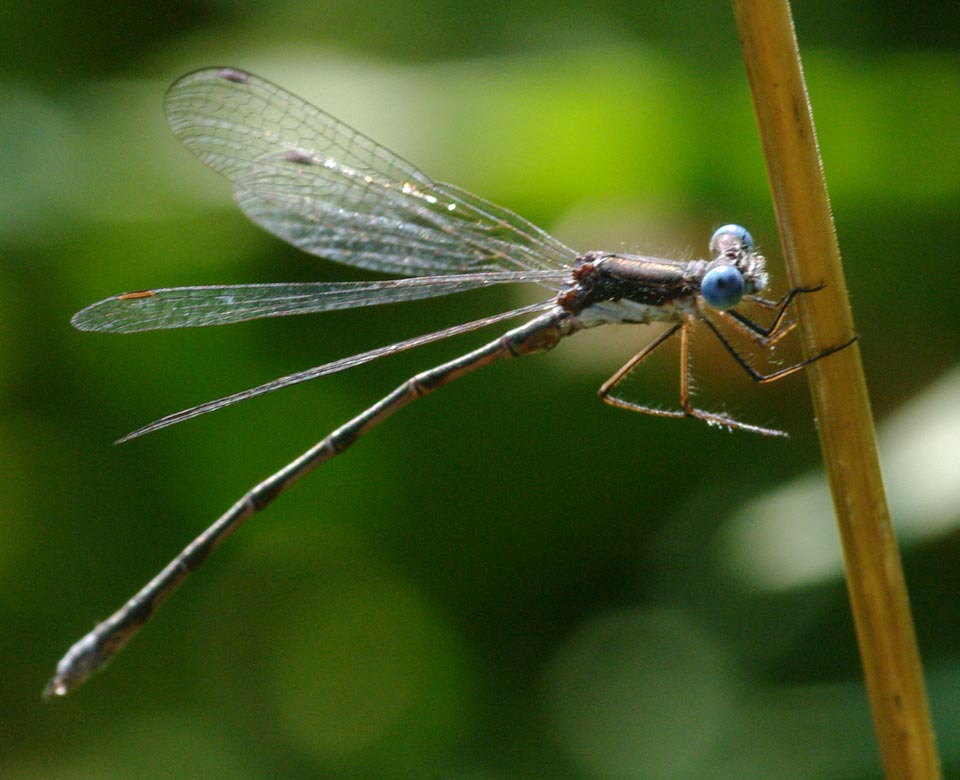 Danny yoga: limbering