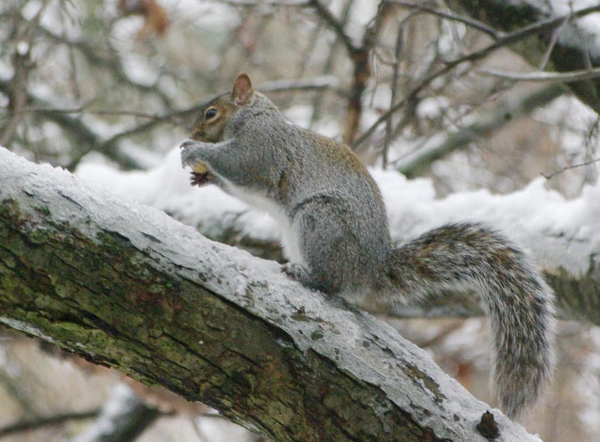 Spot pausing to rearrange