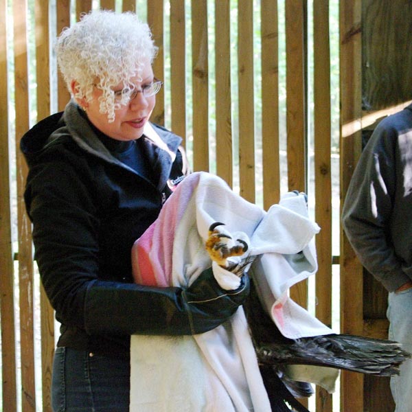 Robyn wrapped Xena in a towel