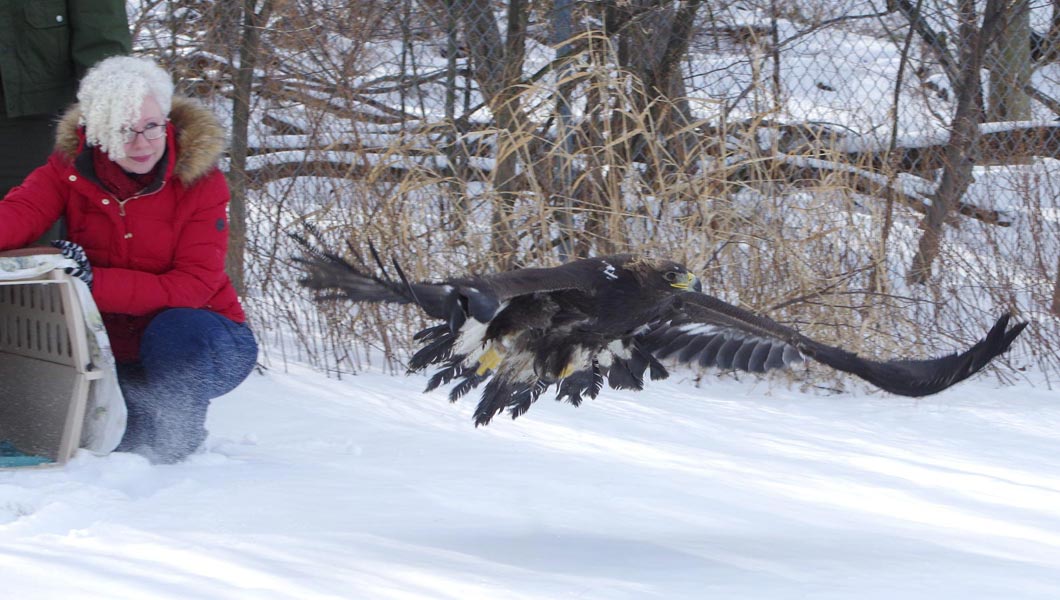 Zeus gaining  altitude