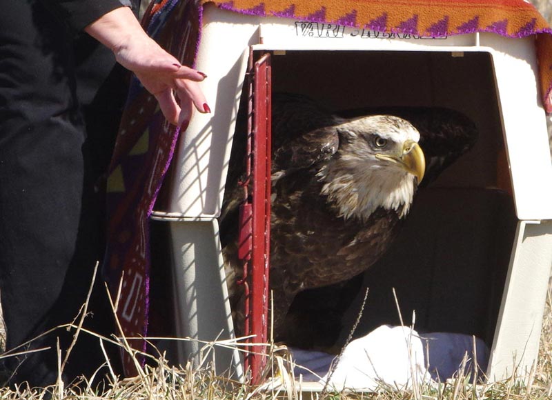 Ronny on the verge of release