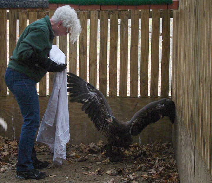 Robyn approaching Lana