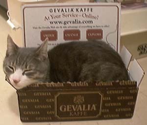 George enjoying Gevalia