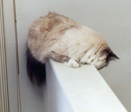 Secretly . . . from above