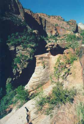 Overlook  trail