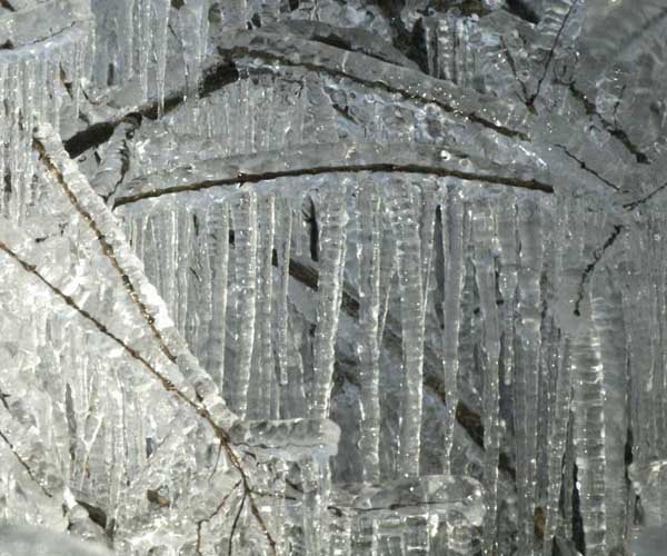 Dreamy icicles
