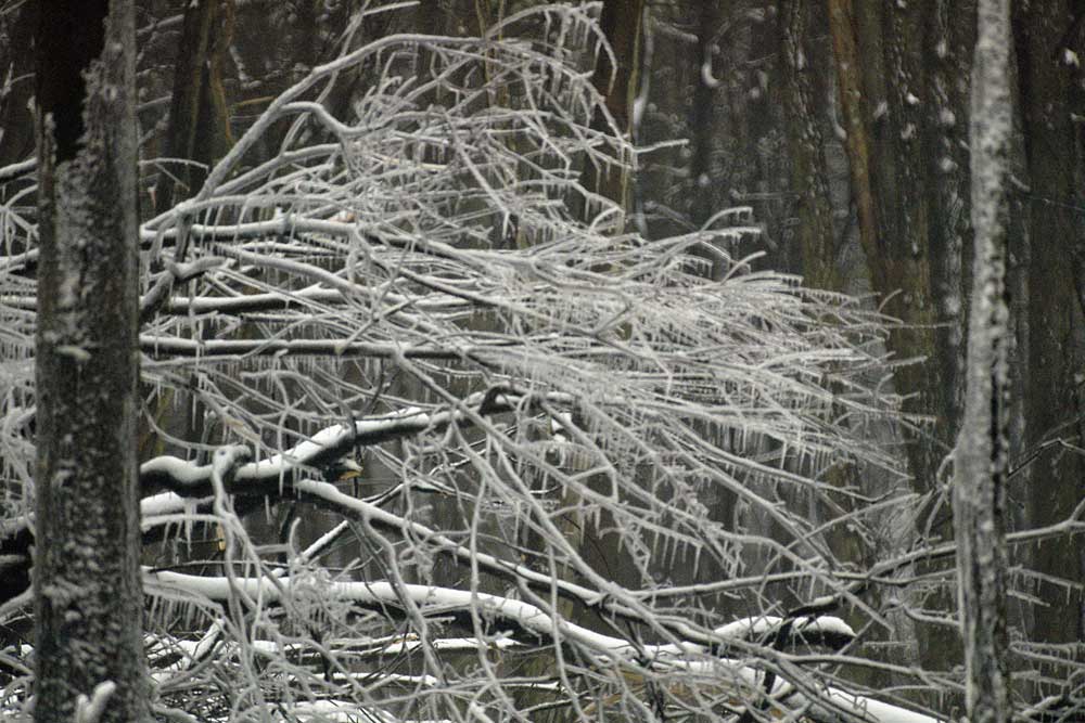 Horizontal and vertical icicles