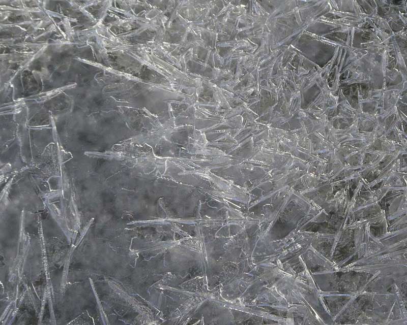 Ice pattern, sunlight