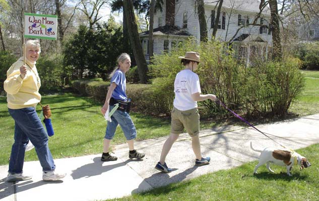 Wag More Team in action