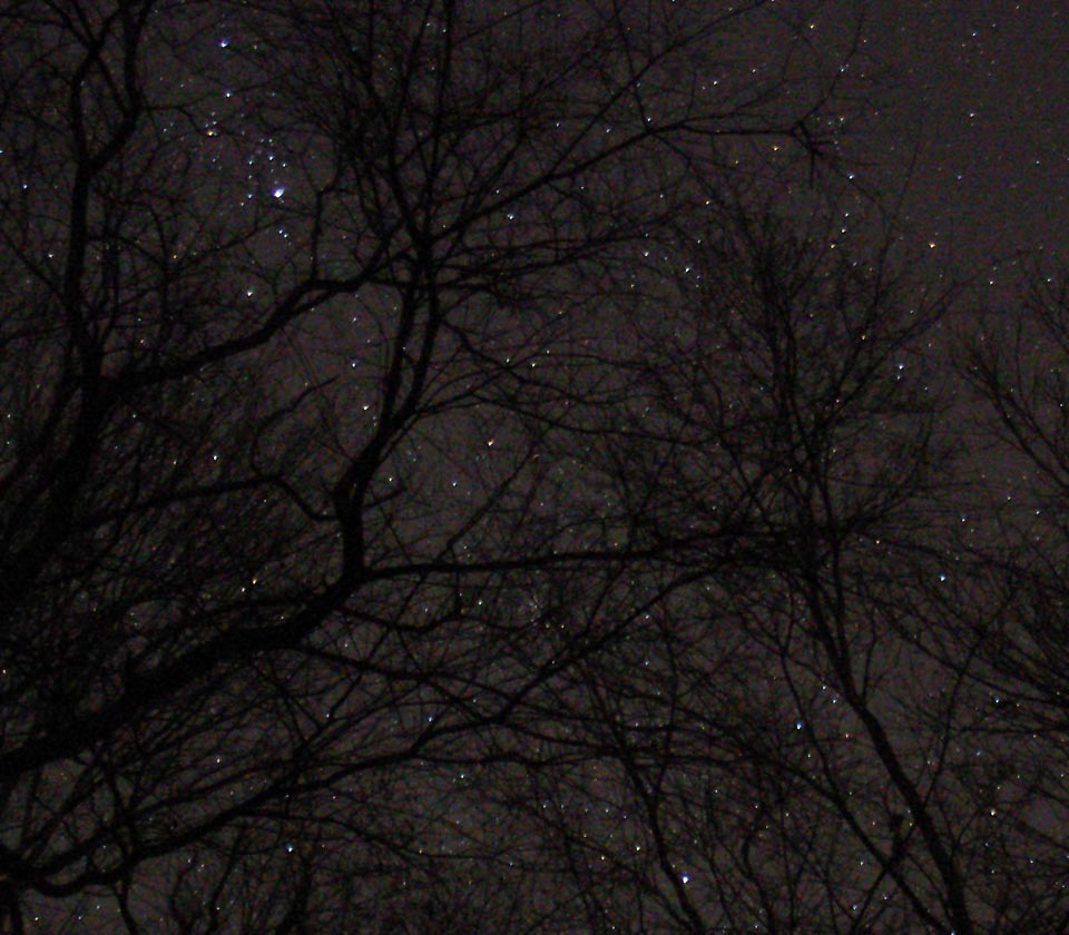 Falling star, or meteor trail
