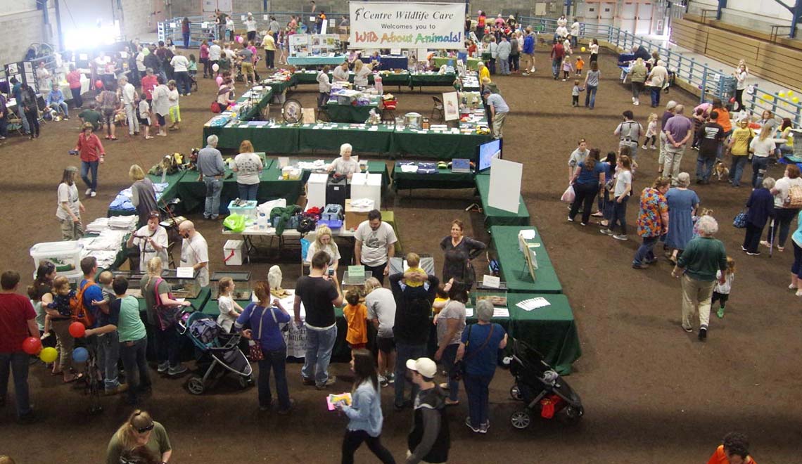 Wild About Animals, 2019