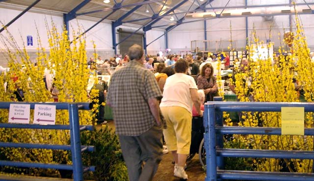 Entrance with foral display