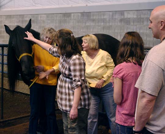 Onyx the Kissing Horse and friends