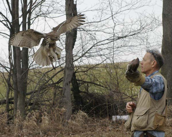 Zoey returning to Karl Striedieck