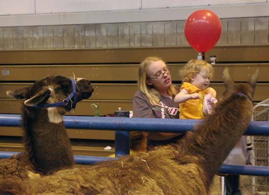 Mother, child, llama